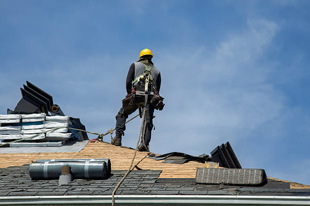 Professional Gutter Installation technician working in Enterprise, UT